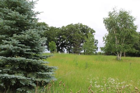 1019 100th Avenue Moorhead MN 56560