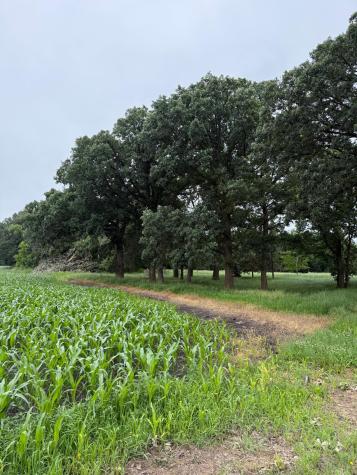 1019 100th Avenue Moorhead MN 56560