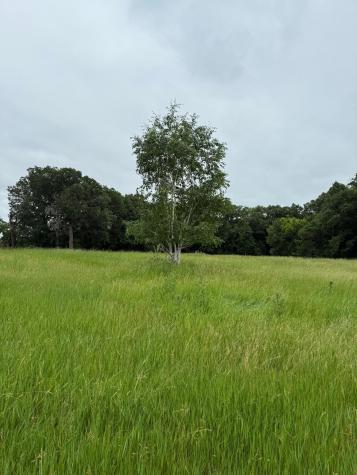 1019 100th Avenue Moorhead MN 56560