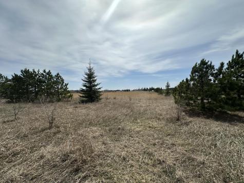 Tbd 425th Avenue Perham MN 56573