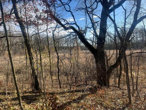 Tbd County Road 3 Saint Joseph Twp MN 56374