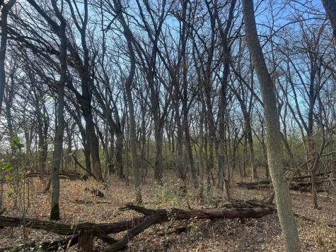Tbd County Road 3 Saint Joseph Twp MN 56374
