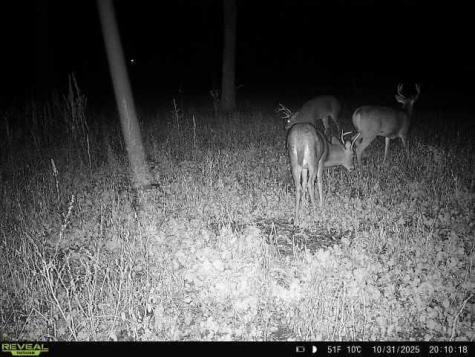Tbd County Road 3 Saint Joseph Twp MN 56374