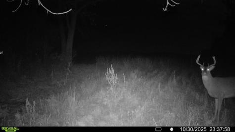 Tbd County Road 3 Saint Joseph Twp MN 56374