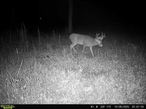 Tbd County Road 3 Saint Joseph Twp MN 56374