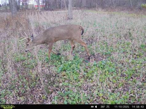 Tbd County Road 3 Saint Joseph Twp MN 56374