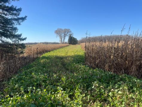 Tbd County Road 3 Saint Joseph Twp MN 56374