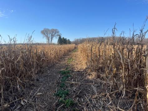 Tbd County Road 3 Saint Joseph Twp MN 56374