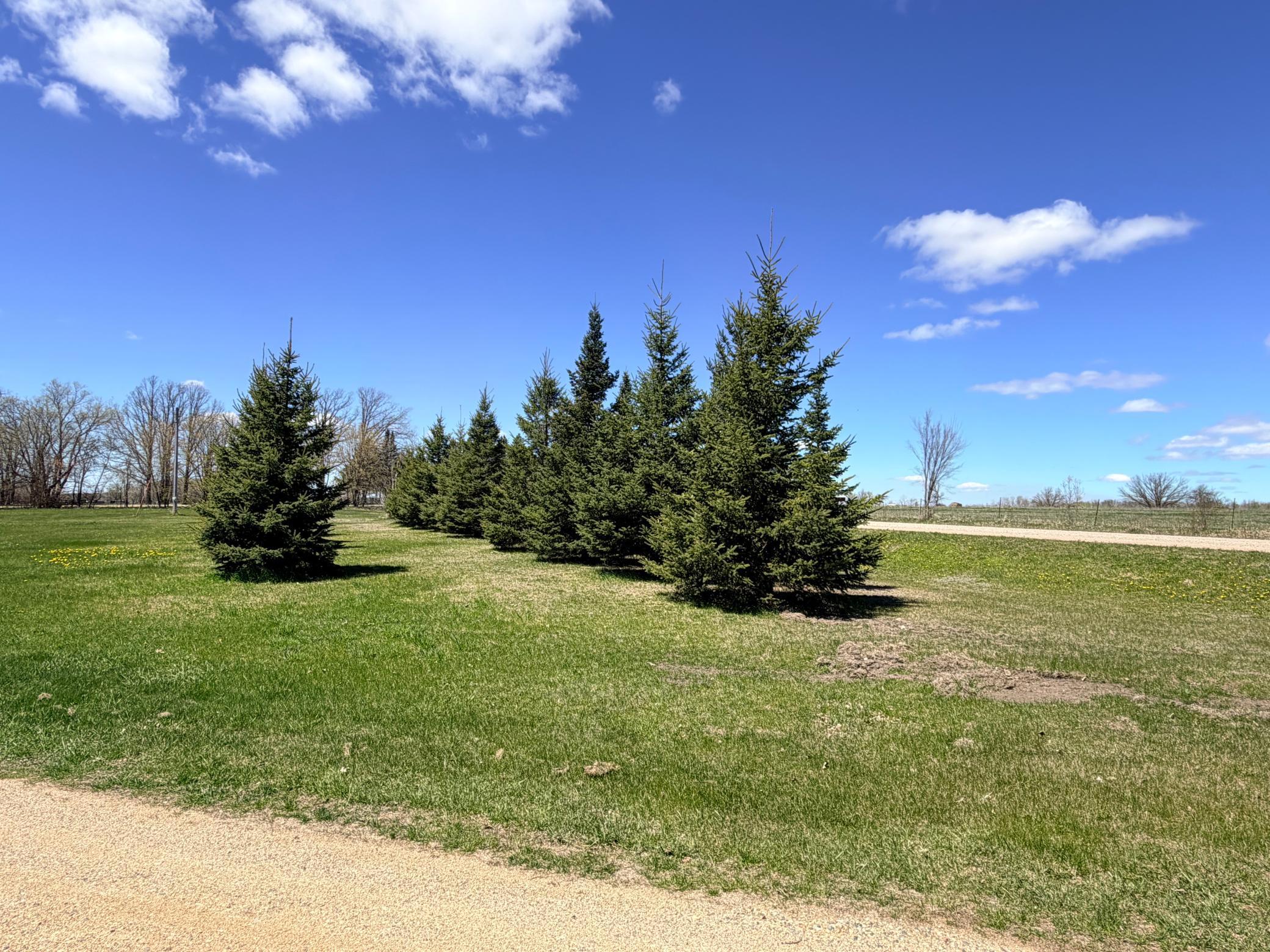 62362 450th Street Sebeka MN 56477