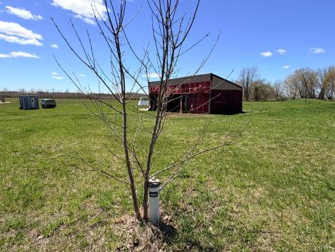 62362 450th Street Sebeka MN 56477