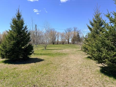 62362 450th Street Sebeka MN 56477