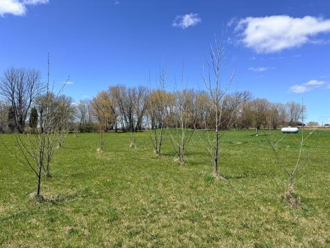 62362 450th Street Sebeka MN 56477