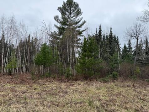 Tbd Scout Camp Road Eveleth MN 55734