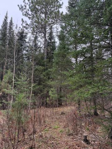Tbd Scout Camp Road Eveleth MN 55734