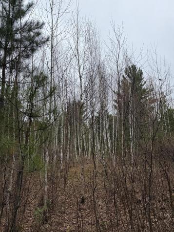 Tbd Scout Camp Road Eveleth MN 55734