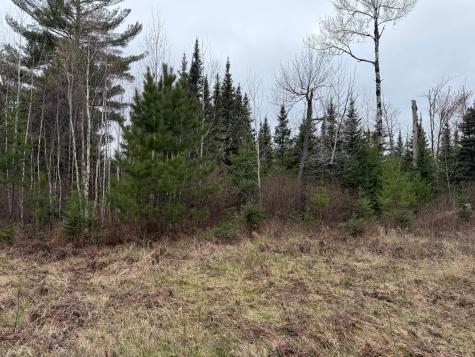 Tbd Scout Camp Road Eveleth MN 55734