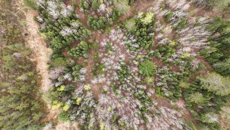 Tbd Scout Camp Road Eveleth MN 55734