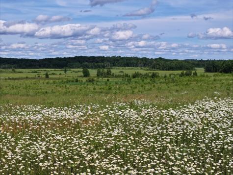 9884 County Road 1 SW Pequot Lakes MN 56472