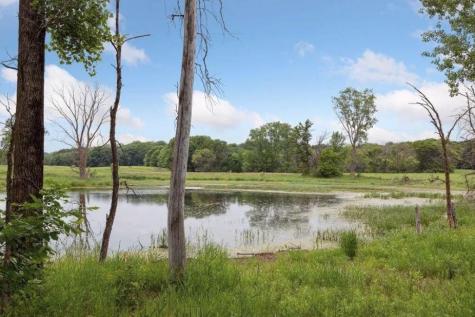 11468 Blazingstar Court N Lake Elmo MN 55042