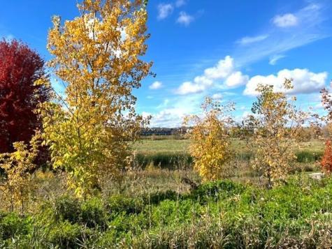815 Meander Court Medina MN 55340