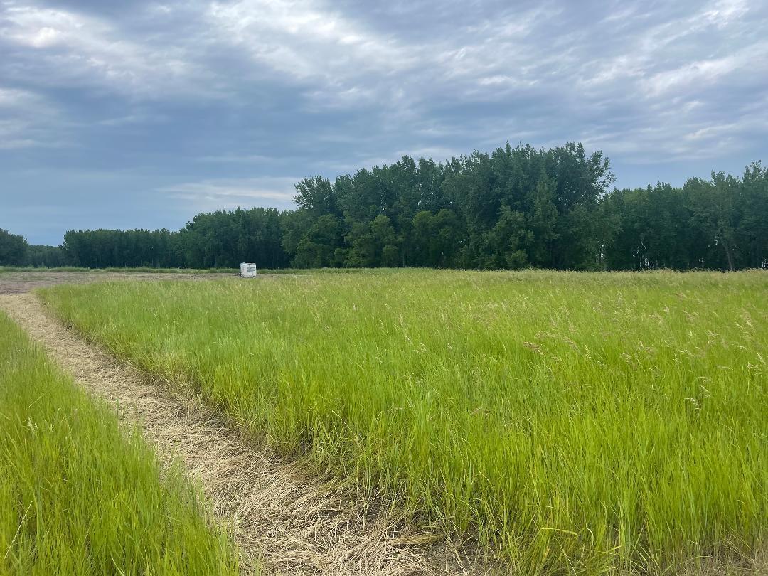 10220 State Hwy 9 S Barnesville MN 56514