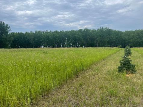 10220 State Highway 9 S Barnesville MN 56514