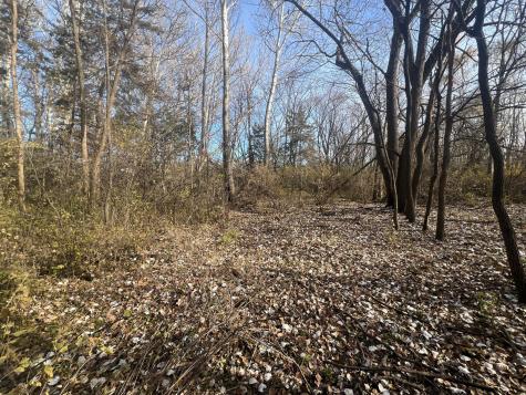 Tbd 72nd Street SW Howard Lake MN 55349