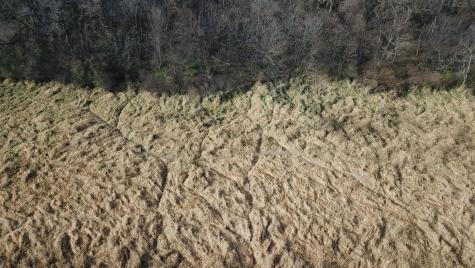 Tbd 72nd Street SW Howard Lake MN 55349