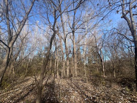 Tbd 72nd Street SW Howard Lake MN 55349
