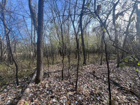 Tbd 72nd Street SW Howard Lake MN 55349