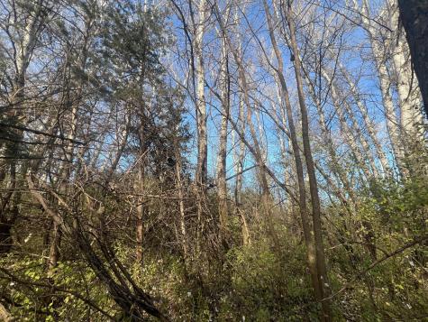 Tbd 72nd Street SW Howard Lake MN 55349