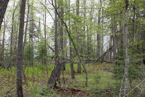 Tbd County Road 19 Deer River MN 56636