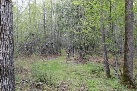 Tbd County Road 19 Deer River MN 56636