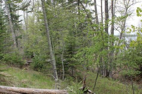 Tbd County Road 19 Deer River MN 56636