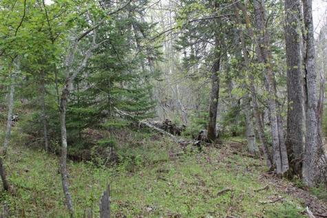 Tbd County Road 19 Deer River MN 56636