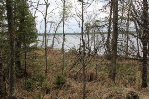Tbd County Road 19 Deer River MN 56636