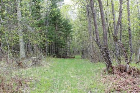 Tbd County Road 19 Deer River MN 56636
