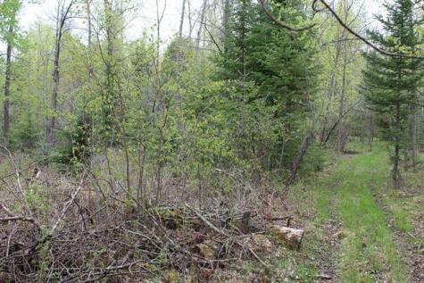 Tbd County Road 19 Deer River MN 56636