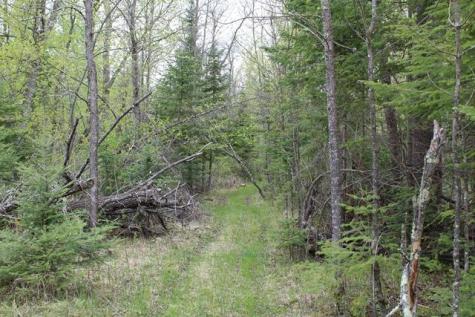 Tbd County Road 19 Deer River MN 56636