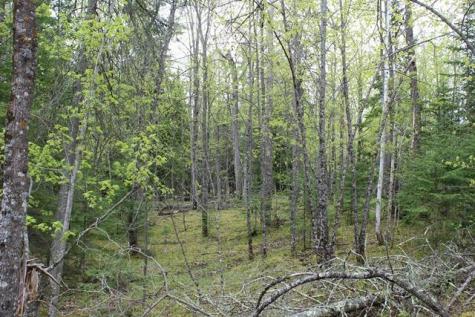 Tbd County Road 19 Deer River MN 56636