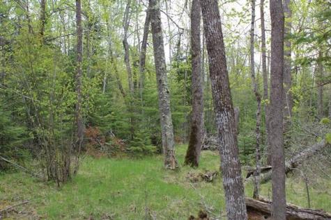 Tbd County Road 19 Deer River MN 56636