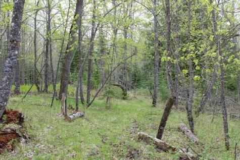Tbd County Road 19 Deer River MN 56636