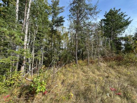Tbd 243rd Avenue Shevlin MN 56676