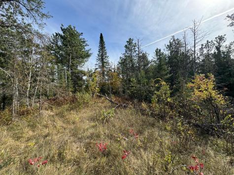 Tbd 243rd Avenue Shevlin MN 56676