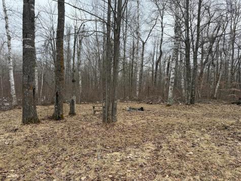 61613 Park Hills Road Bruno MN 55712