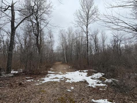 61613 Park Hills Road Bruno MN 55712
