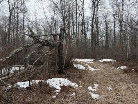 61613 Park Hills Road Bruno MN 55712