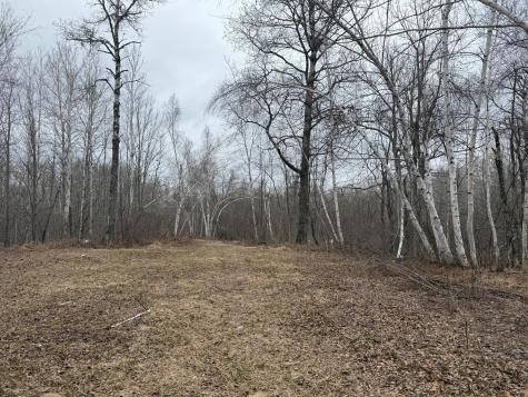 61613 Park Hills Road Bruno MN 55712