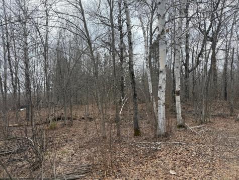 61613 Park Hills Road Bruno MN 55712