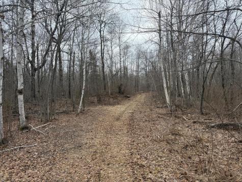 61613 Park Hills Road Bruno MN 55712